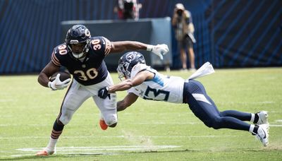 Bears notebook: Roschon Johnson just getting started