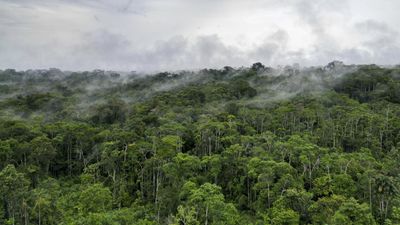 In a first, Ecuador to vote on oil drilling in the Amazon