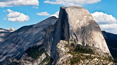 “Bears are excellent climbers” – tenacious black bear scales Yosemite’s Half Dome