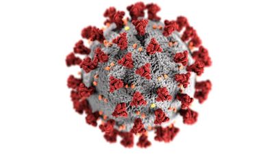 Spanish Flu And COVID-19 Pandemic Show Similar Trends In Stillbirths
