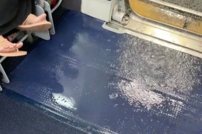 Delta under fire after video shows water flooding passenger’s seat and bag