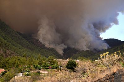 Out-of-control wildfire scorches Spain's Tenerife island, affecting thousands
