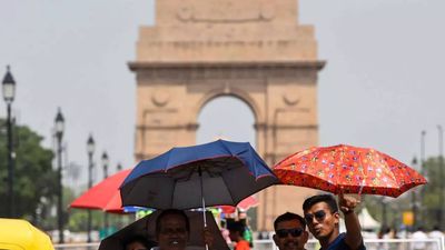 Delhi's plan to mitigate heat impact: No schools in afternoon, curb on non-essential water use