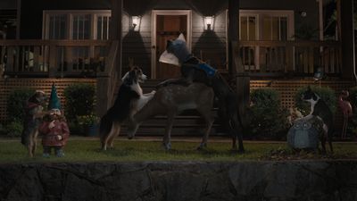 Strays Director Opens Up About Getting The Dogs To Hump Onscreen And Why The Trainers Were Just ‘Dying’ To Do An R-Rated Movie