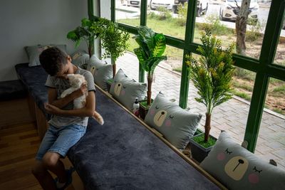 The Gaza Strip gets its first cat cafe, a cozy refuge from life under blockade