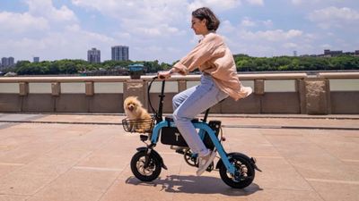 New Mihogo Mini E-Bike Proves That Bigger Isn’t Always Better