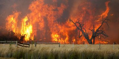 Yes, climate change is bringing bushfires more often. But some ecosystems in Australia are suffering the most