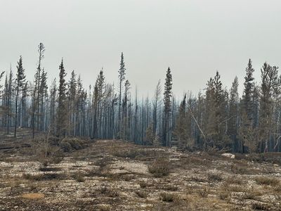 Residents flee capital of Canada's Northwest Territories ahead of Friday deadline as wildfire nears
