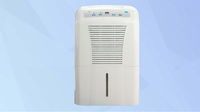 Over 1,500,000 dehumidifiers recalled due to fire risk — check if yours is affected