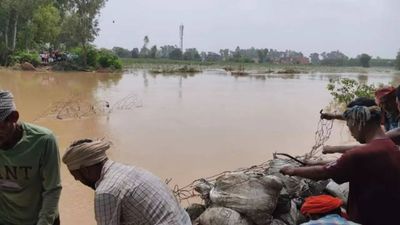 Punjab floods: Bridge over drain collapses in Gurdaspur
