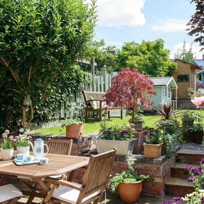 Smart watering - keep your plants thriving this summer whether you're at home or on holiday