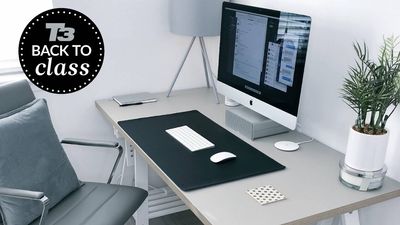 13 WFH essentials for a productive work day or study session
