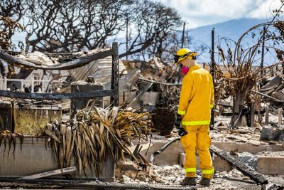 Maui teachers fear children will be among dead as 7-year-old found in burned car