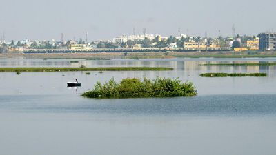 NGT raps T.N. authorities over inaction in forming panel to monitor restoration of waterbodies
