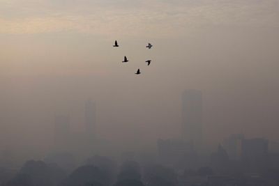 Indonesia’s president has a cough, air pollution could be the culprit