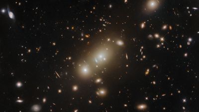 Hubble images a museum of galaxies, and some are gravitationally warped (photo)