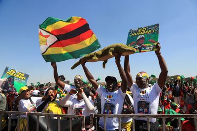 Zimbabwe election: Your guide to how the electoral system works