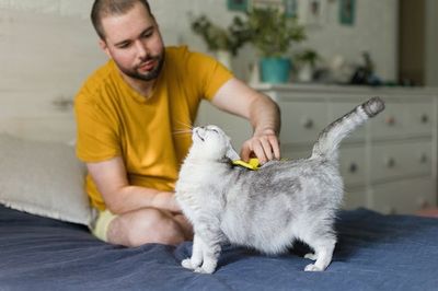 The Surprising Health Benefits of Massage for Your Pet, According to Vets