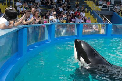 Orca dies after 53 years of captivity