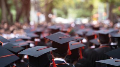 What next after a degree?