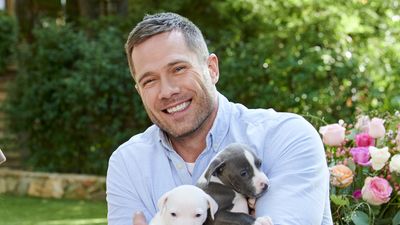 After Thinking He Was Quitting, It Turns Out Fan-Fav Luke Macfarlane Is Heading Back To Hallmark After All