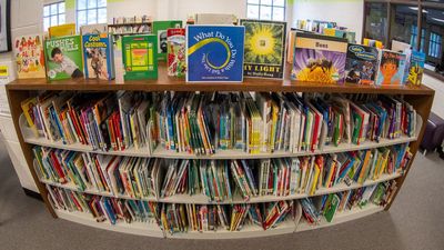 Georgia made it easier for parents to challenge school library books. Almost no one has done so