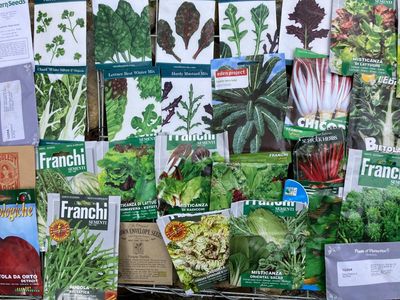 Time to sow seeds for cool-weather vegetables