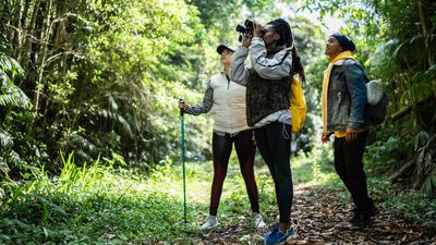 What is the best time for birdwatching?