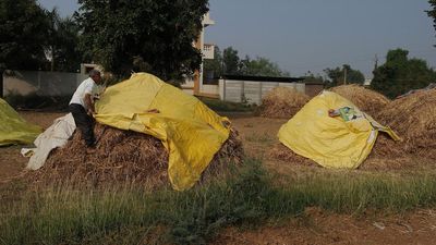 Farmers from flood-ravaged northern States to gather in Chandigarh to press for special package, compensation from Centre