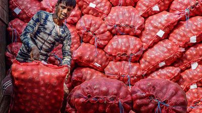 Onions to be made available at ₹ 25 as buffer stock burgeons
