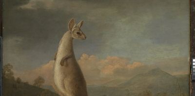 Painting the unfamiliar: why the first European paintings of Australian animals look so alien to our eyes