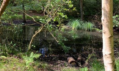 Country diary: On the trail of the elusive Breckland pingo