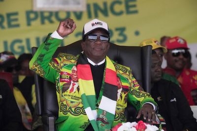 Zimbabwe's president, a former guerrilla fighter known as 'the crocodile,' is seeking reelection