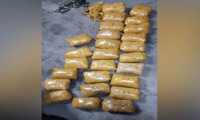 Punjab: 29 kg contraband seized in Ferozepur; 2 Pak smugglers apprehended