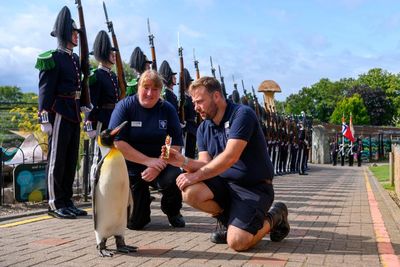 Guard of honour for Edinburgh Zoo mascot penguin as it's promoted to general