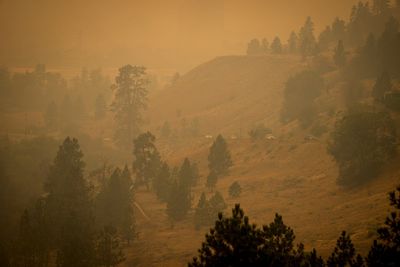 Two large wildfires merge to form one huge blaze in Canada as thousands more evacuated