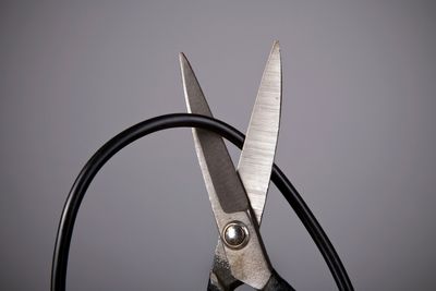 Cord-Cutting To Hit 8.1% in 2023: Analyst