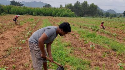 After 15 years as a daily wager, an agricultural labourer from the Kondh tribe will study to be a doctor