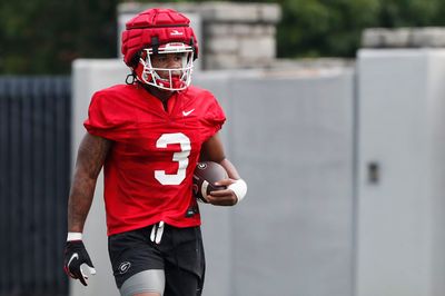 UGA football drops highlight video of scrimmage