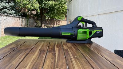 Greenworks Pro 80V review: a powerful, adjustable cordless leaf blower