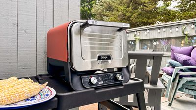 Ninja Woodfire Outdoor Oven review