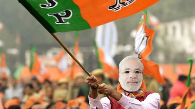 Recent parliamentary elections in India: a closer look