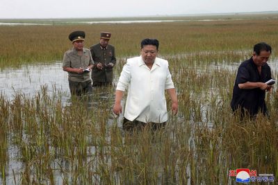 North Korea's Kim lambasts premier over flooding, possible bid to shift blame for bad economy