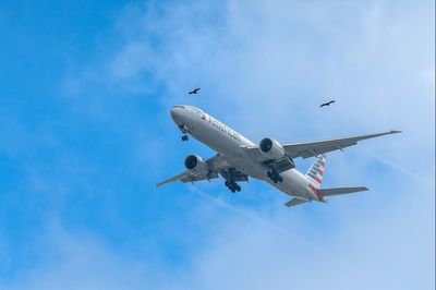 ‘Incredibly scary’: Pepper spray released in plane cabin forces American Airlines flight to land