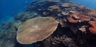 Remote Pacific coral reef shows at least some ability to cope with ocean warming – new study