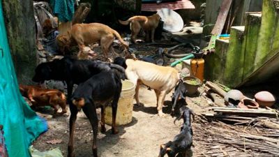 Animals abandoned in breeding centre rescued