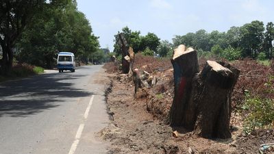 Tamil Nadu government stops felling of trees for road expansion in Maduranthakam