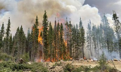 Climate crisis made spate of Canada wildfires twice as likely, scientists find