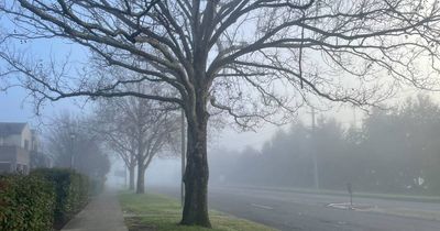 Line of storms leave ACT region blanketed in fog