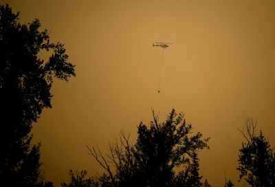 Climate change doubled chance of weather conditions that led to record Quebec fires, researchers say
